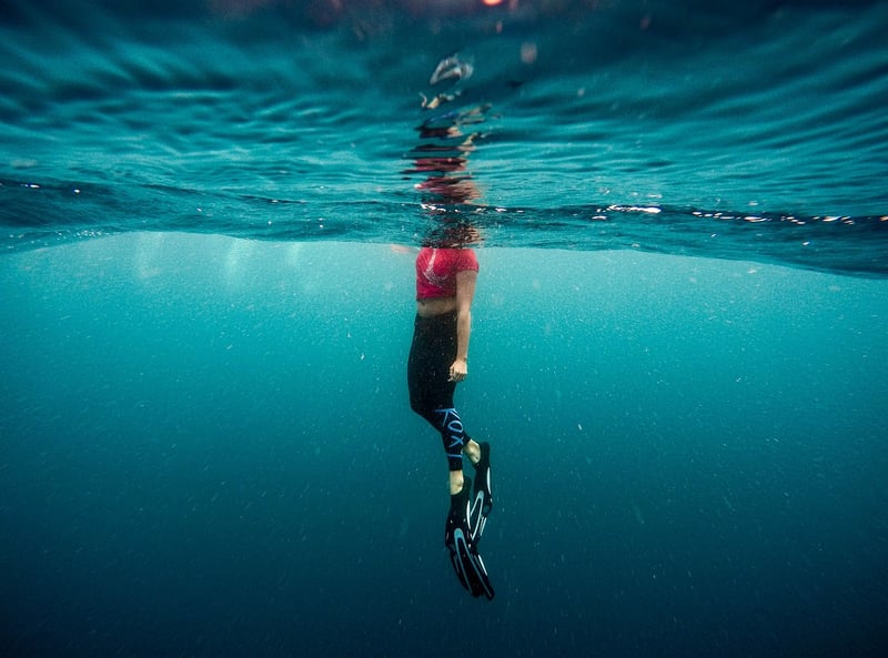 Wetsuit